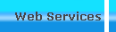 Web Services